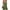 E1-Olive Green, variant on Chiclily Women's Casual Overalls Shorts, Loose Button Adjustable Straps Jumpsuits with Pockets, Gray Summer Boho Wide Leg RompersSize L