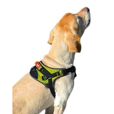 Peak Pooch - Heavy Duty, Reflective, Lightweight, Padded, No-Pull, Pet Dog Harness, Rip Stop Nylon, Tough Stainless Steel Hardware, ideal for Walking, Running, Outdoor, for Small, Medium, Large