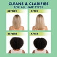 thumbnail image 5 of Alberto VO5 Kiwi Lime Clarifying Hair Conditioner with Rosemary Extract, 98% Naturally Derived, Paraben Free, Vitamin-Enriched Formula for Fresh, Clean Hair, 5 of 7