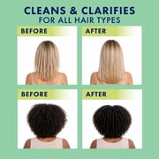 (2 pack) Alberto VO5 Kiwi Lime Clarifying Shampoo with Rosemary Extract, Paraben Free, Silicone Free, Vitamin-Enriched Formula for Deep Clean & Shine