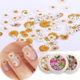 thumbnail image 1 of Pegatinas de uñas de flores en 3D, 450 unidades de hojas de flores de simulación holográfica, purpurina de uñas, lentejuelas acrílicas, brillo de uñas compatible con uñas A Afortunado Sencillez, 1 of 4