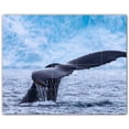thumbnail image 1 of Picture-Tiles.com: Whale Ceramic Tile Wall Mural WAL501187-54S. 21.25"W x 17"H using (20) 4.25" x 4.25" Ceramic Tiles-Satin Finish, 1 of 3