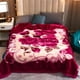 thumbnail image 2 of Manta Raschel estampada de gama alta para cama, suave, cálida, gruesa, edredones dobles individuales, mantas ponderadas amigables con la piel, Invierno, 2 of 4