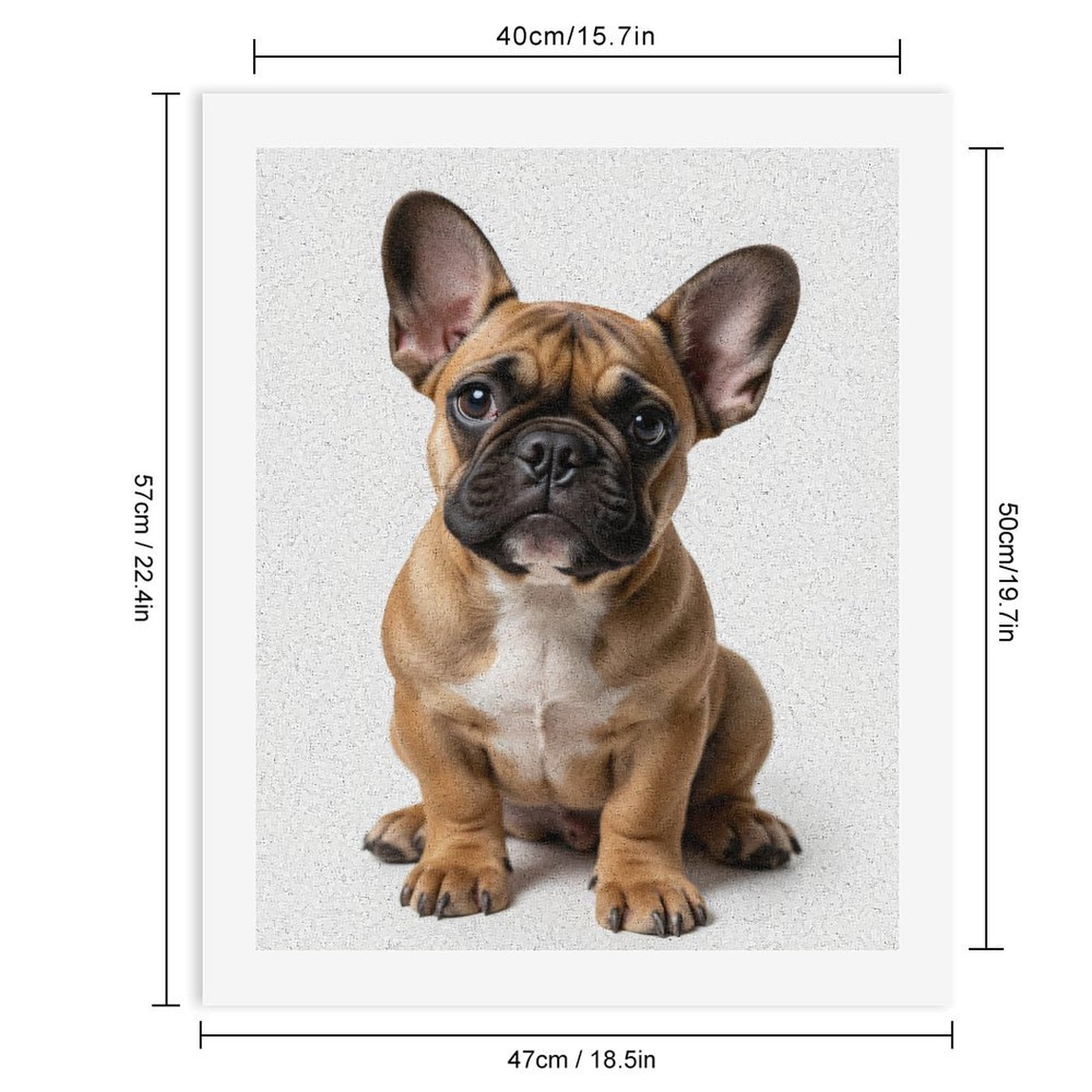 Paint By Numbers Kit for Adults Beginner - DIY Brown French Bulldog Sitting Cute Canvas Painting Kits for Adults, Frameless Paint By Number for Adults for Home Wall Decor 16x20 Inch