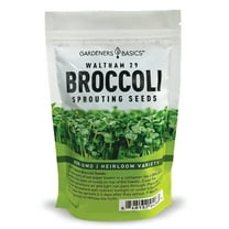 Waltham 29 Broccoli Sprouting Seeds - 1 Pound