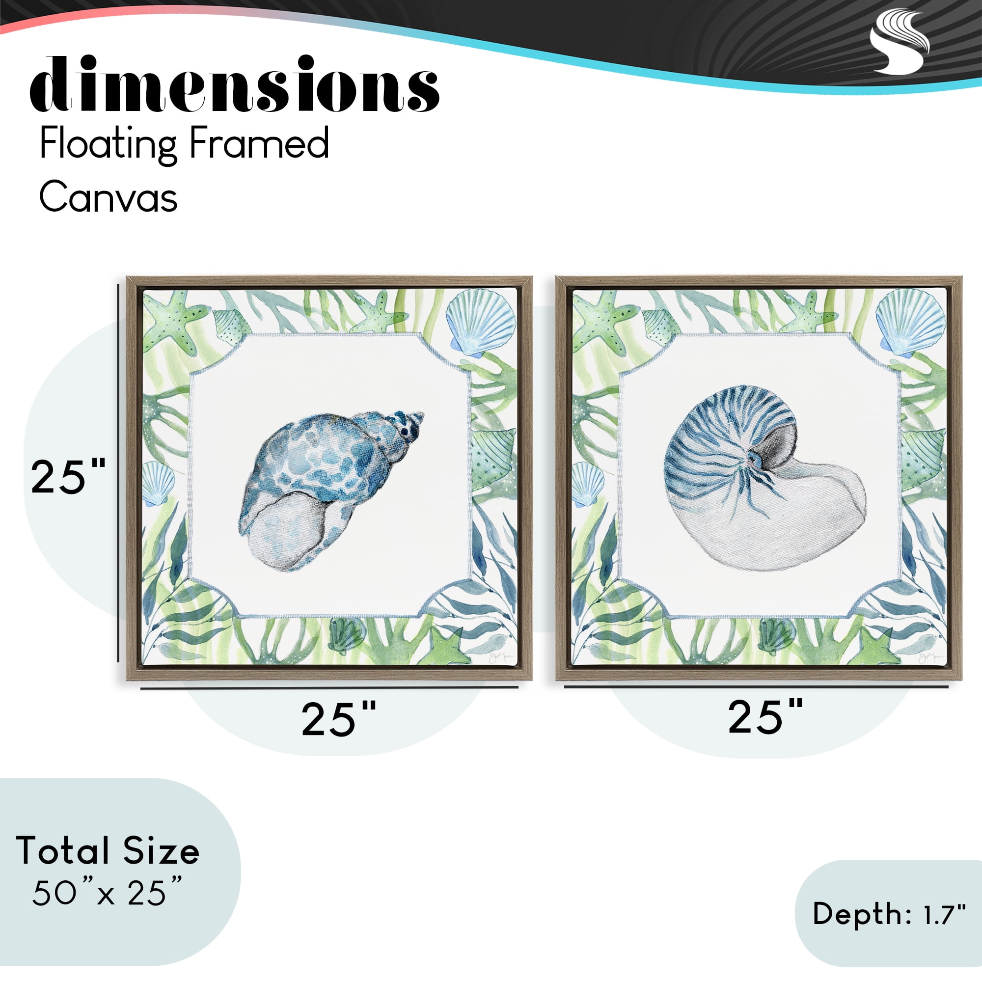 Stupell Industries Seaweed Bordered Seashells 2 Piece Brown Framed Floater Canvas Set, design by Janet Tava