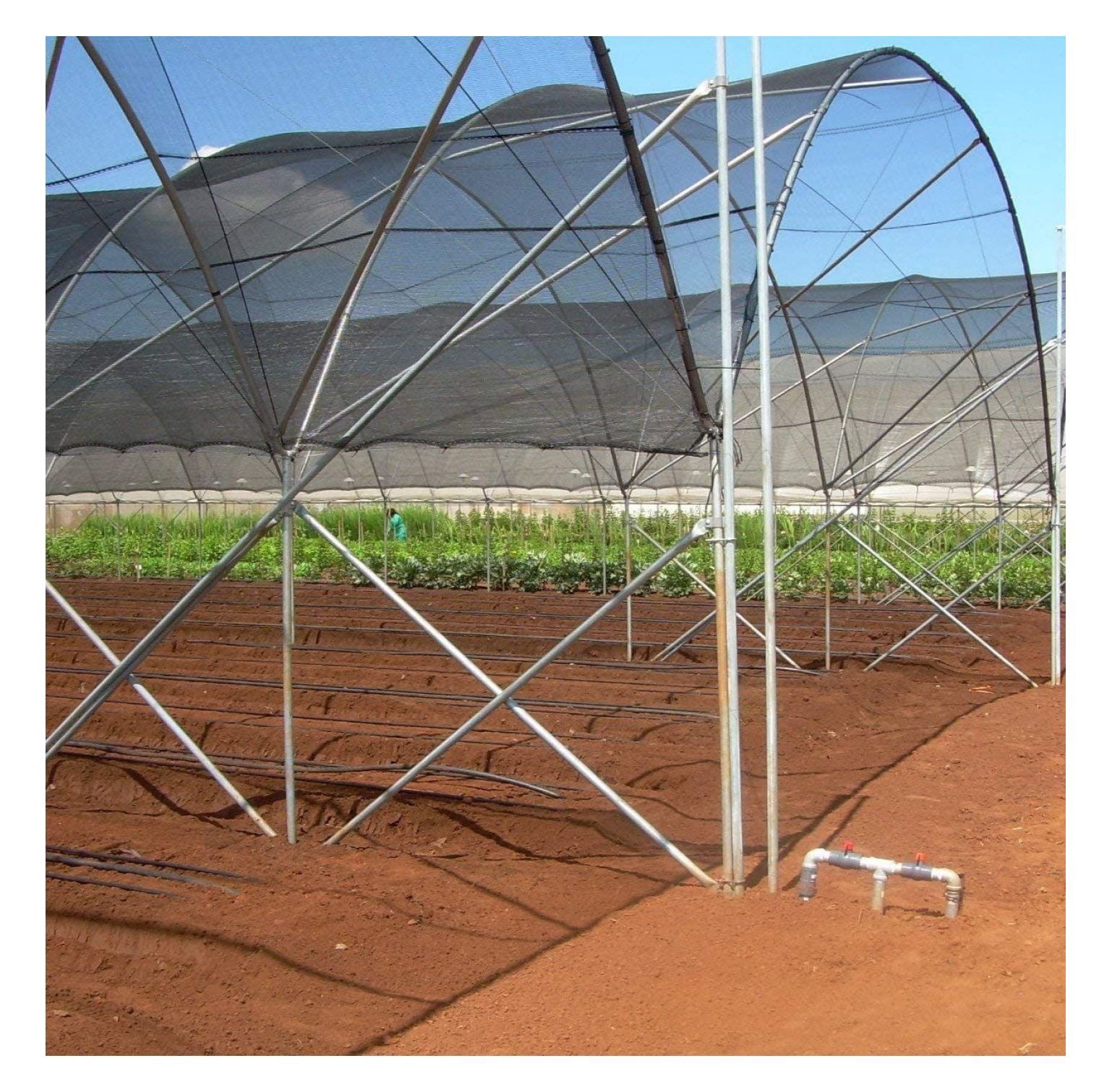 50% Shade Cloth Black - UV Resistant Sunblock Fabric for Plants, Garden, Patio - 6ft x 12ft with Clips