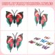 thumbnail image 5 of 10 pcs 3D Magnetic Butterfly Fridge Decor Decorative Sticker DIY, 5 of 5