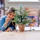 thumbnail image 1 of LEGO Friends Advent Calendar 41382 Building Kit, New 2019 (330 Pieces) LEGO -, 1 of 5