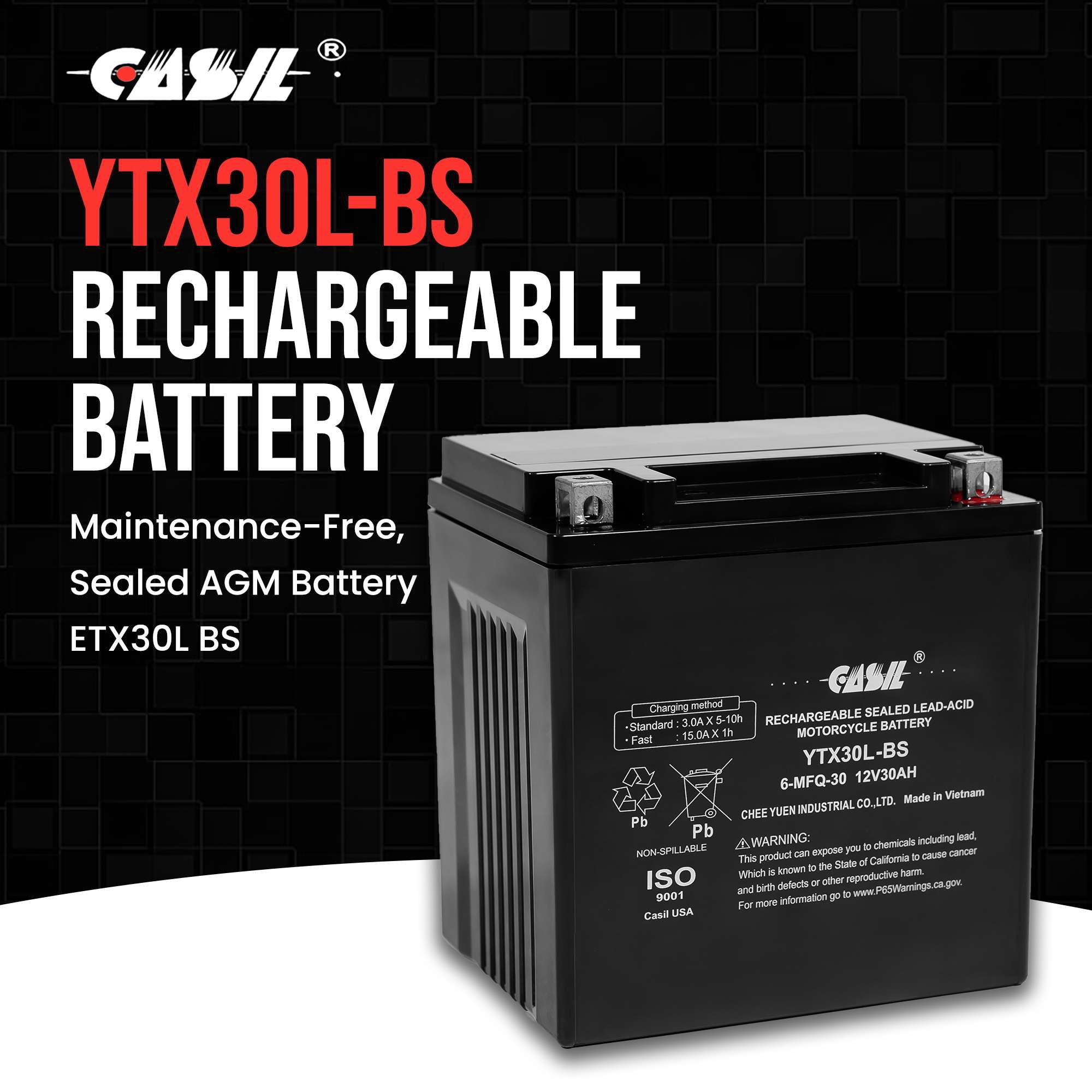 Casil YTX30L-BS Power Sports Battery 12V 30AH Motorcycle Battery for Polaris 800 Ranger 2012-2014