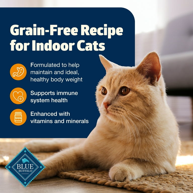 best robot litter box for cats Best Automatic Litter Box main image 1