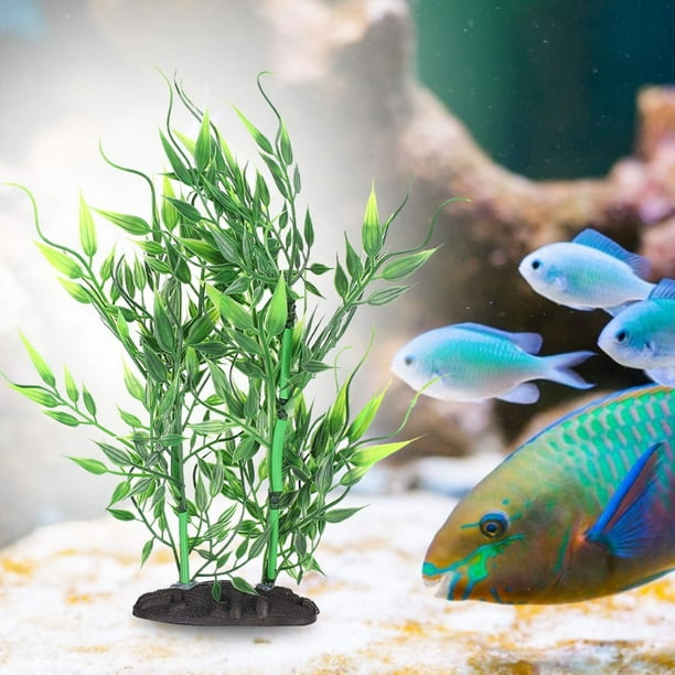 Aquarium Bamboo
