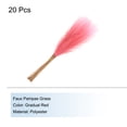 thumbnail image 3 of Uxcell 20Pcs Faux Pampas Grass 21.65" Fake Pampas Grass Decor Gradual Red, 3 of 7
