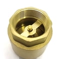 Versatile Brass Check Heavy Duty 1 Inch Brass Check Vertical Check ...