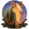 thumbnail image 2 of CafePress - Palomino Horse - Large Beach Towel, Soft 30"x60" Towel with Unique Design, 2 of 3