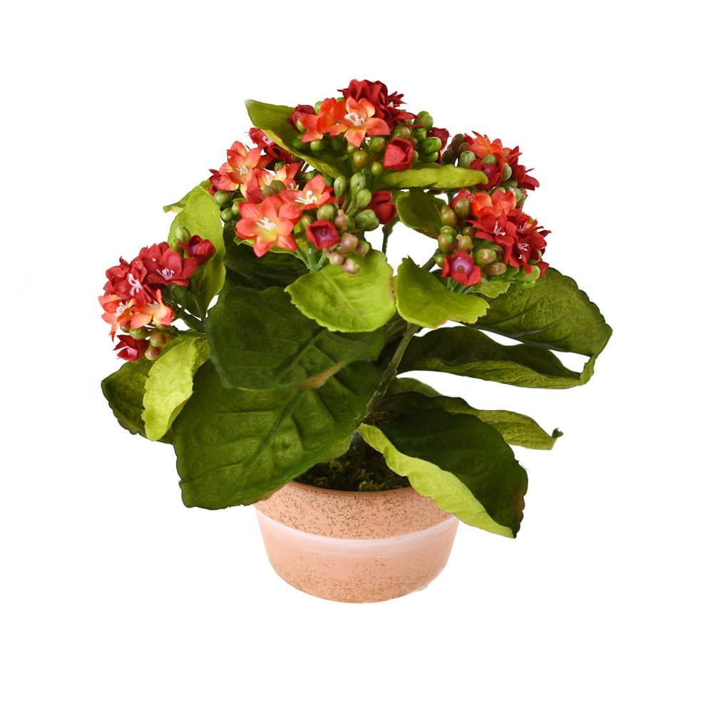 Artificial Silk Kalanchoe Flower Pot, Red, 8Inch