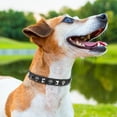 thumbnail image 6 of Leather Dog Collars for Small Medium Dogs with Rivet, Adjustable Studded Cute Dog Collar for Pet Boy Girl Kitten Cats, Bling Spiked Puppy Collars 1Pack, 6 of 8