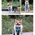thumbnail image 6 of HQREA Cute Dog Belly Cover Waterproof Dogs BellyBand Comfy Pet Diaper Wrap for Outdoor, 6 of 6
