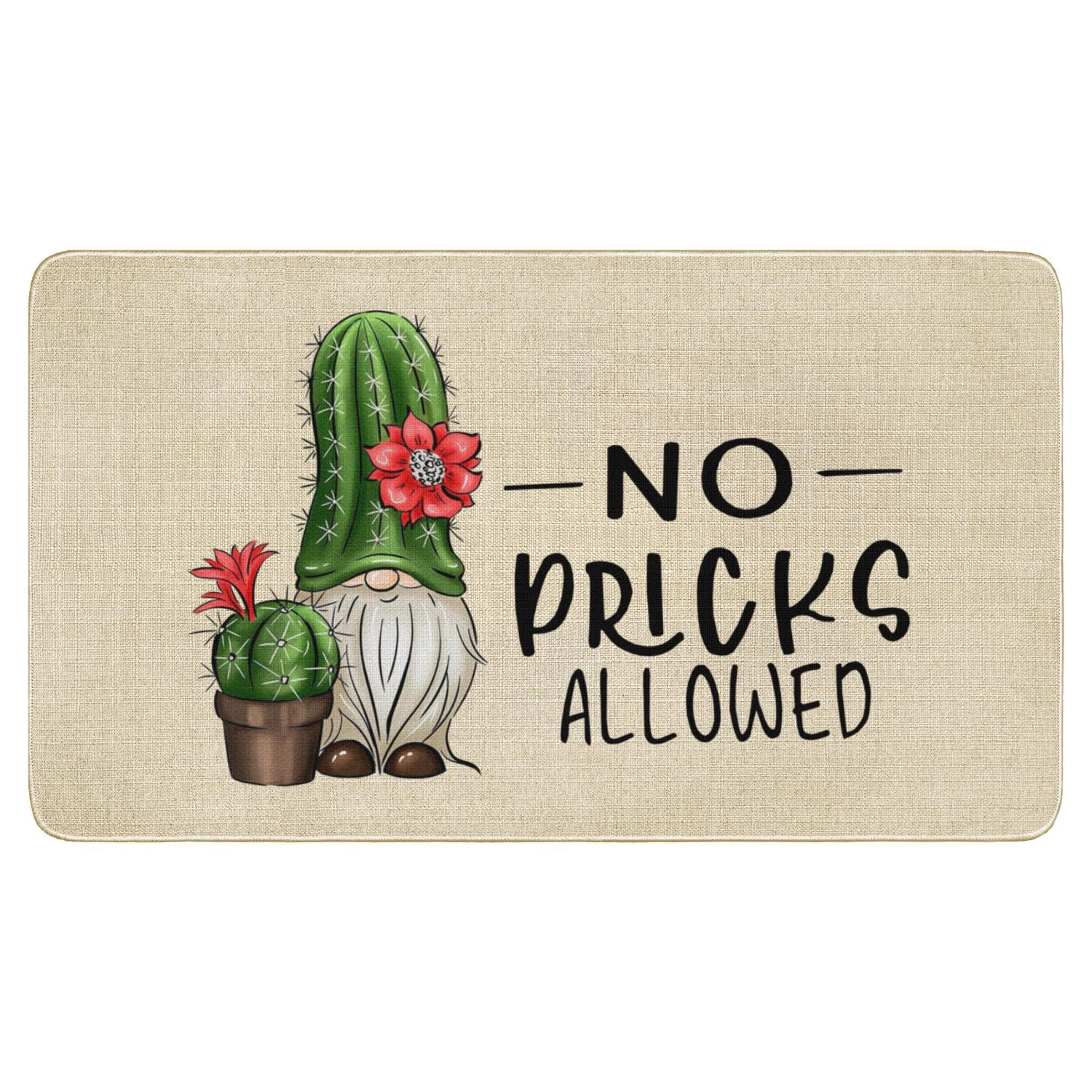 Spring Summer Door Mat 30 X 17 Inch No Picks Allowed Cactus Doormat Indoor Outdoor Entrance Funny Floor Mat Non Slip Summer Decor Rubber Welcome Mats