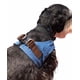 thumbnail image 3 of Pechera para paseo perro chico Mezclota Pechera para paseo CH, 3 of 4