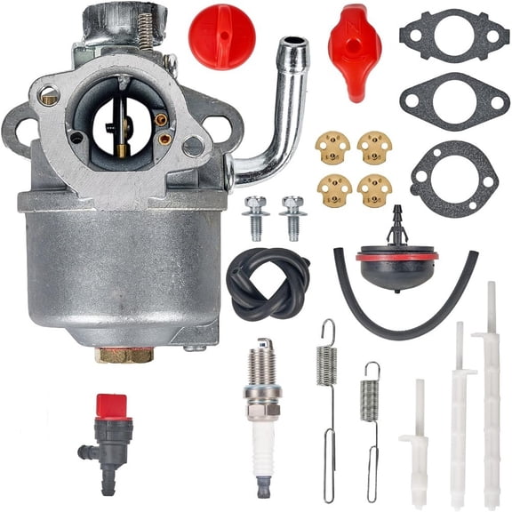 Carburetor Kit for Briggs & Stratton 790558 695727 794587 594014 590907 798918 New