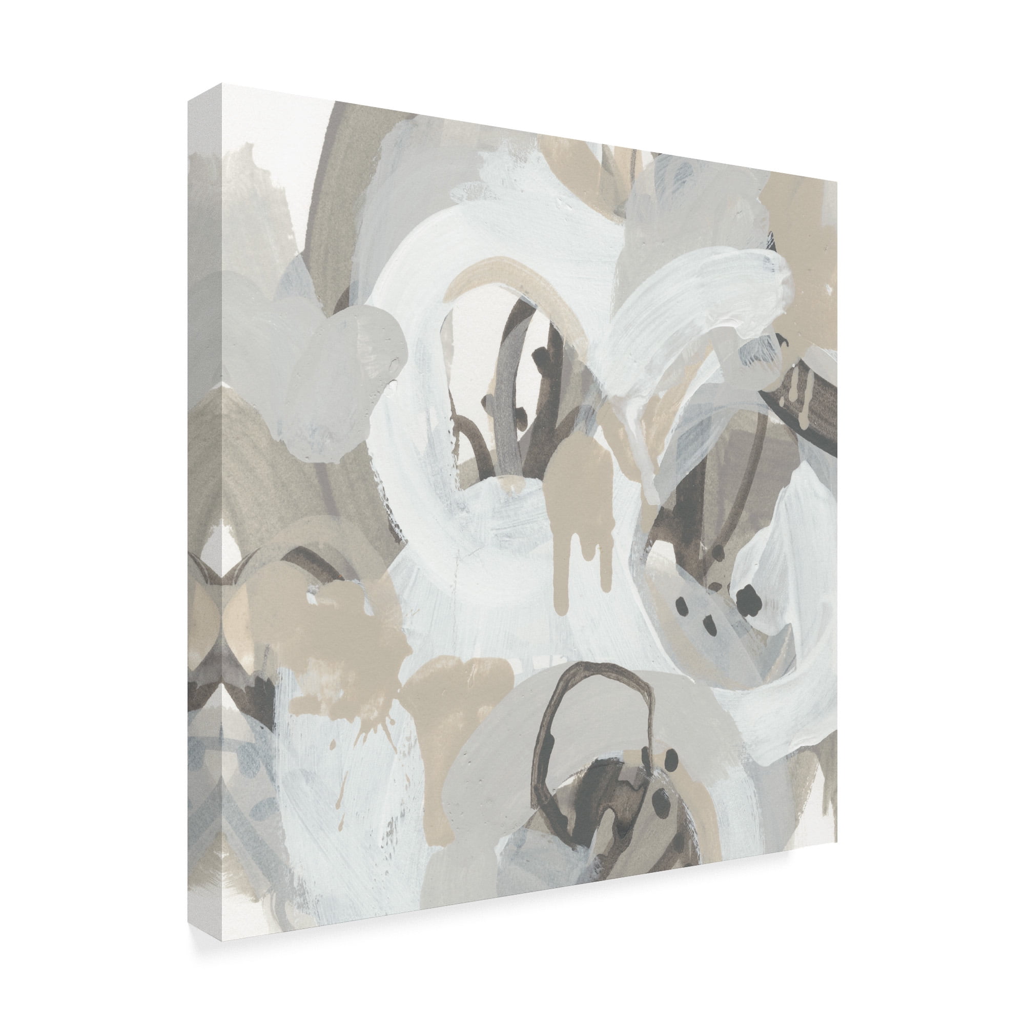 Trademark Fine Art 'Oscillate I' Canvas Art by June Erica Vess