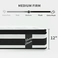 thumbnail image 6 of Miniyam 12" Memory Foam Mattress for Adults, Individual Pocket Spring Hybrid Mattress, Twin-XL, 6 of 10