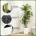 thumbnail image 4 of Artificial Dracaena Tree 6FT - UV Resistant Faux Tree with Large Taper Planter & Pebbles - Tall Fake Plants Indoor & Outdoor, Potted Floor Plant for Home Living Room Porch Decor, VN127, 4 of 9