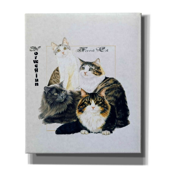 Epic Graffiti 'Norwegin Forest Cat' by Barbara Keith, Canvas Wall Art, 20"x24"