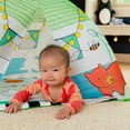 thumbnail image 5 of Sassy Gone Campin Woodland Sensory Activity Baby Play Gym 0 Months Old and Up, 5 of 12