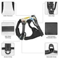 thumbnail image 6 of Lsque Ducks and Anchors Dog Harness, No-Pull Pet Harness with 2 Leash Clips, Adjustable Soft Padded Dog Vest with Easy Control Handle for Large Dogs-, 6 of 9