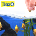 thumbnail image 2 of Tetracichlid Floating Cichlid Sticks Tetra 350 g, 2 of 2