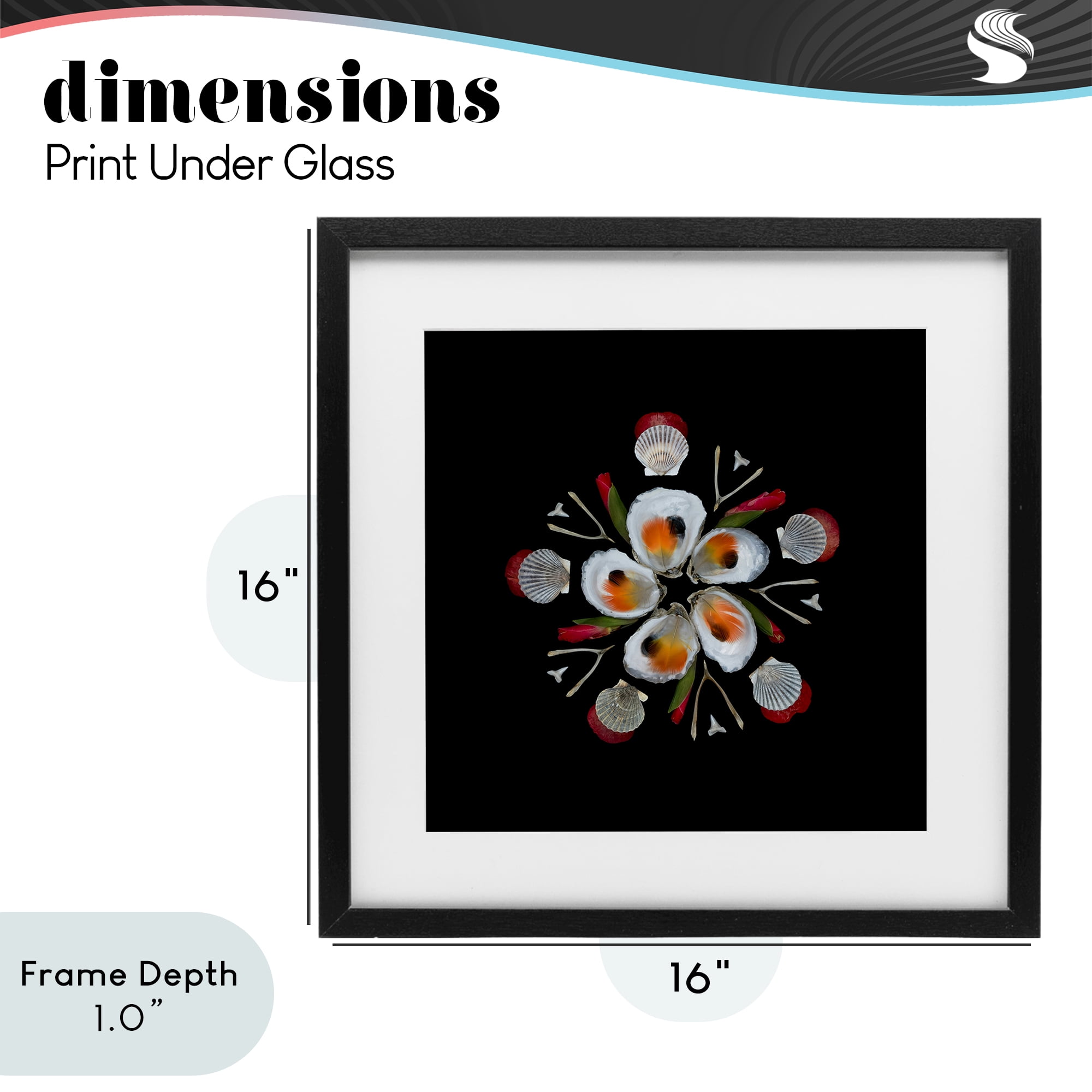 Stupell Industries Nautical Oysters Mandala Black Framed Print Under Glass, design by Beth Adoette