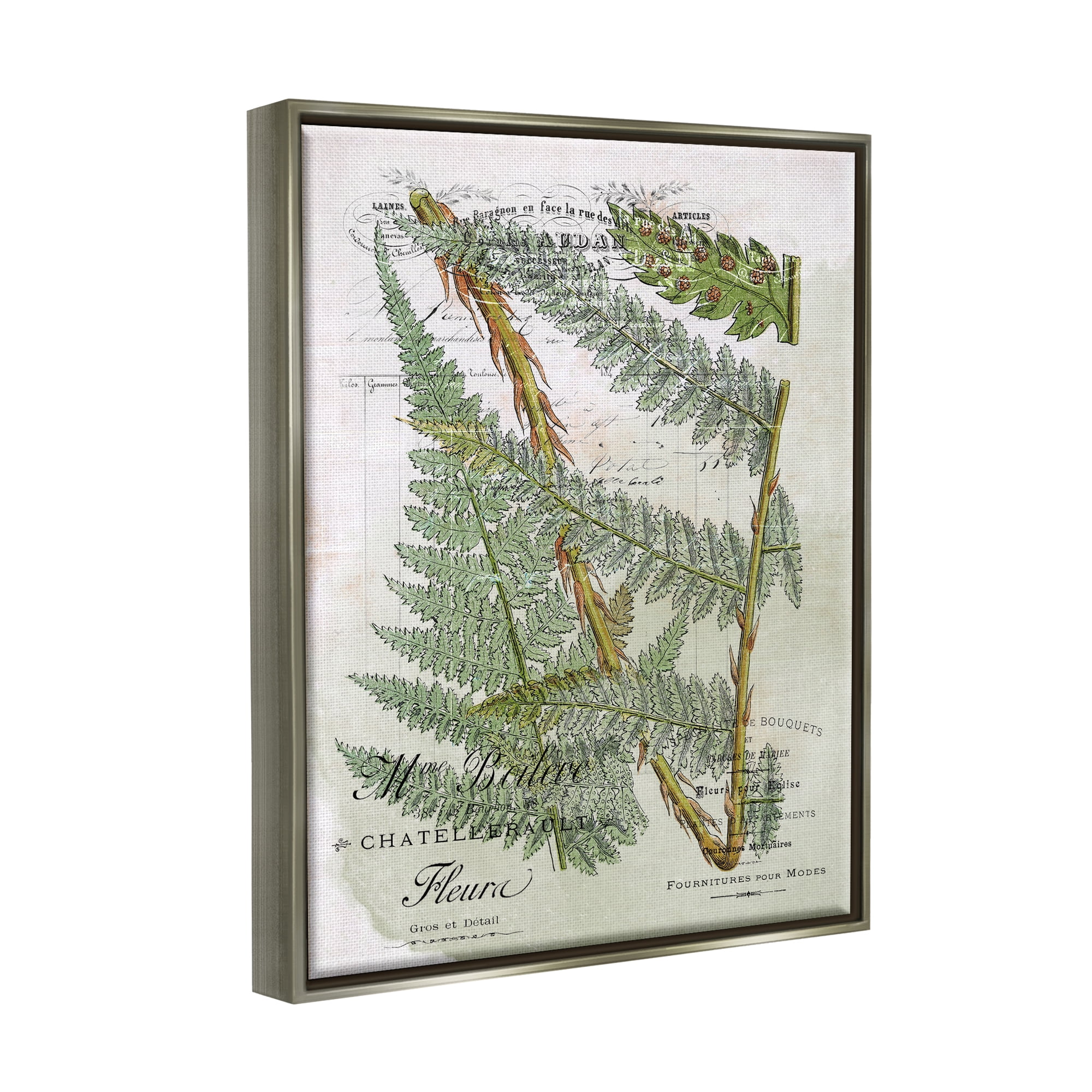Stupell Vintage Vegetation Various Ferns Botanical & Floral Painting Gray Floater Framed Art Print Wall Art