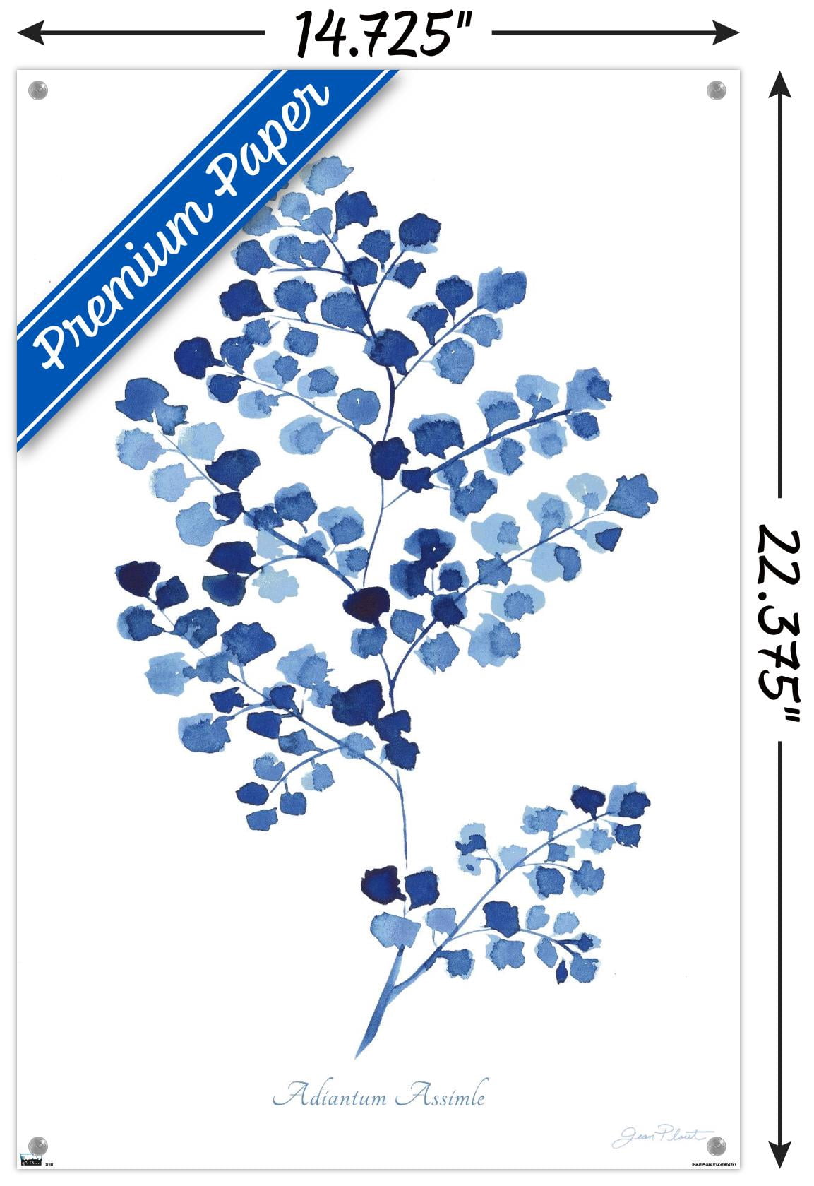 Jean Plout - Indigo Botanical Adiantum Assimle Wall Poster with Push Pins, 14.725" x 22.375"