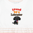 thumbnail image 4 of Inktastic Labrador Retriever Dog Black Lab Girls Baby Dress, 4 of 5