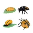 thumbnail image 1 of Juego De Ciclo De Crecimiento Animal, Juguete Cognitivo Montessori, Accesorios De Ense?anza Para Ni?os, 1 of 8