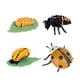 thumbnail image 1 of Figuras de ciclo de vida de animales, figuras de acción de vida educativas, figuras de jardín DIY, materiales de enseñanza para niños de 3, 4, 5, 6 y, 1 of 10