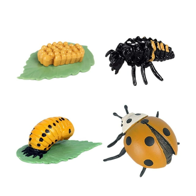 Figuras de ciclo de vida de animales, figuras de acción de vida educativas, figuras de jardín DIY, materiales de enseñanza para niños de 3, 4, 5, 6 y