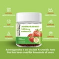 thumbnail image 6 of Nature's Key Ashwagandha Gummies, 3000mg High Potency, Stress & Mood Support, 60 Count, 6 of 9