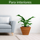 thumbnail image 5 of Maceta Cuadrada Elly Decor 30.5 cm Fibra de Vidrio Marrón con Drenaje Apariencia Madera, 5 of 6