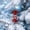 H, variant on Tepsmf Christmas Hanging Ornaments Santa Snowman Candy Cane Tree Pendants Festive Decor for Indoor Xmas Party Holiday Scene Decoration