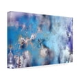 thumbnail image 2 of RUNA 'Frozen Window 5' Canvas Art, 2 of 4