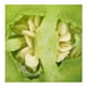 thumbnail image 2 of Chile California por kilo, 2 of 4