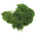 thumbnail image 1 of Moss Artificial Planters Decorative Indoor Use 30.00X30.00X1.00CM 1 Pack Perfect For Home Office, 1 of 4