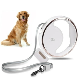 Retractable leash hot sale walmart