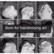 thumbnail image 4 of Juego de tijeras para el cabello, tijeras profesionales de peluquero, corte de pelo, cizalla de textura de adelgazamiento elegante para corte de pelo, 4 of 5