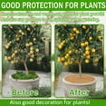 thumbnail image 5 of ZeeDix 3 Pcs Coconut Fibers Mulch Ring Tree Protector Mat, 14 Inch Coco Coir Tree Protection, Indoor/Outdoor Plant Cover, 5 of 7