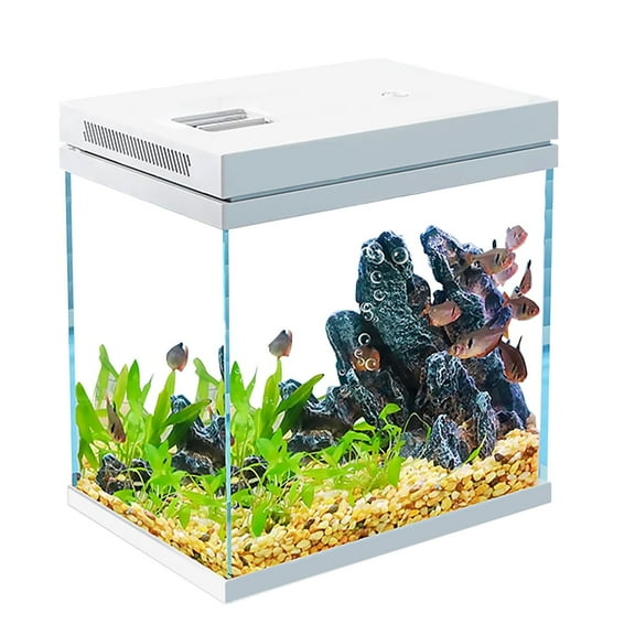 Fish Tank, 4 Gallon Nano-Aquarium, Upgrade Filter System and LED Light, for Freshwater & Marine, Filter Balls Included (4 Gal)