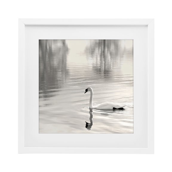 Stupell Industries Morning Sunlit Swan White Framed Print Under Glass, design by Nicholas Bell